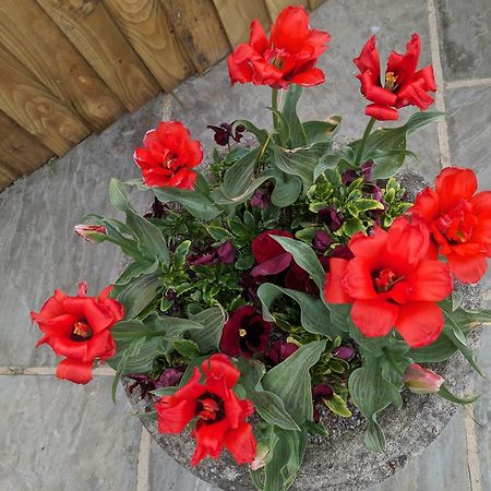 Marton near Pickering Rosegarth Bed And Breakfast المظهر الخارجي الصورة