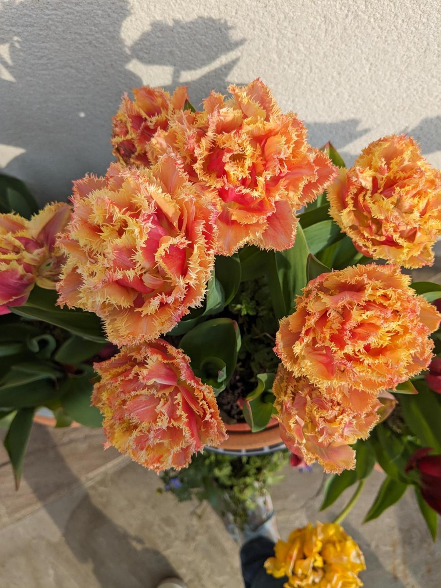 Marton near Pickering Rosegarth Bed And Breakfast المظهر الخارجي الصورة