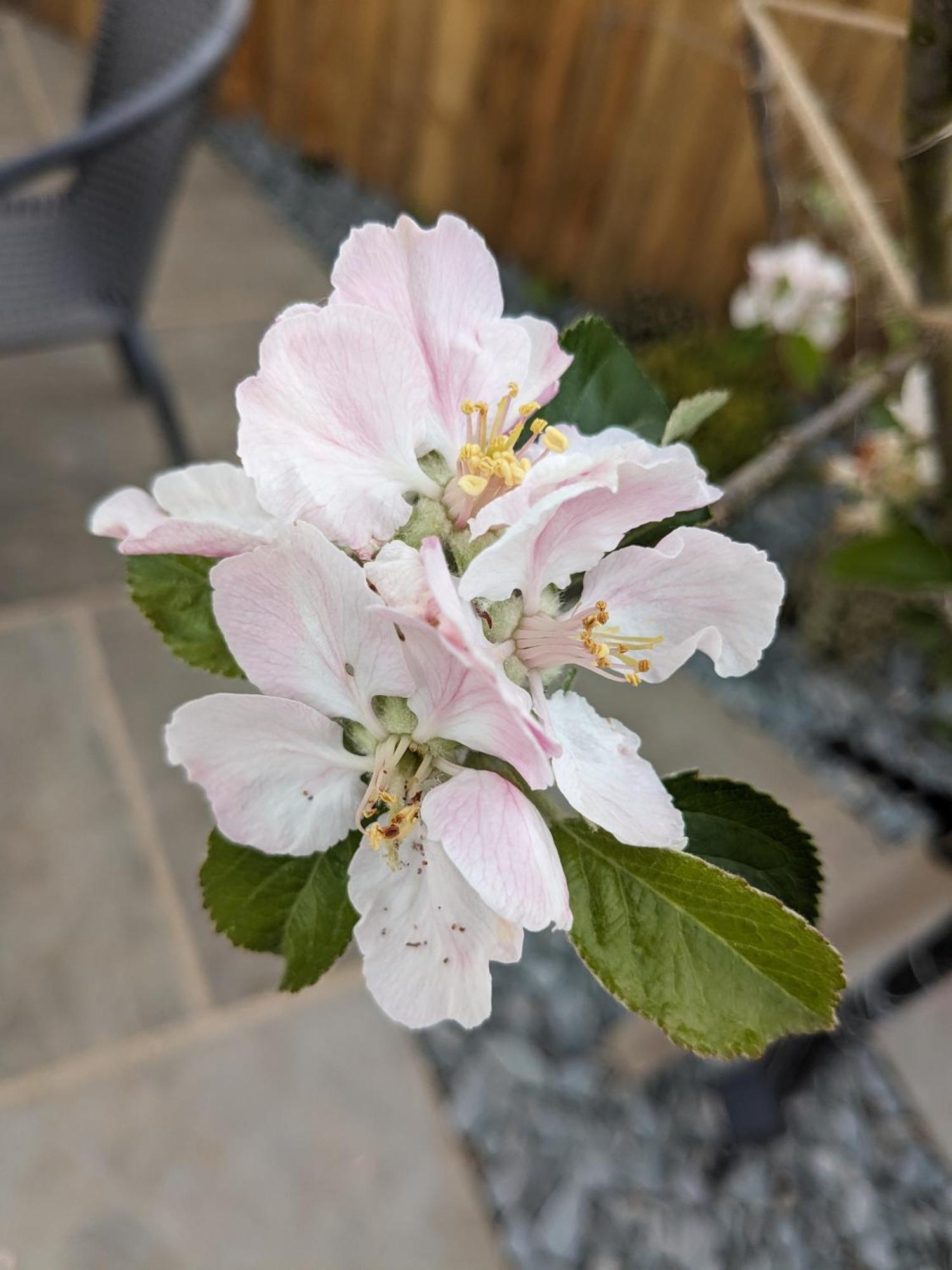 Marton near Pickering Rosegarth Bed And Breakfast المظهر الخارجي الصورة