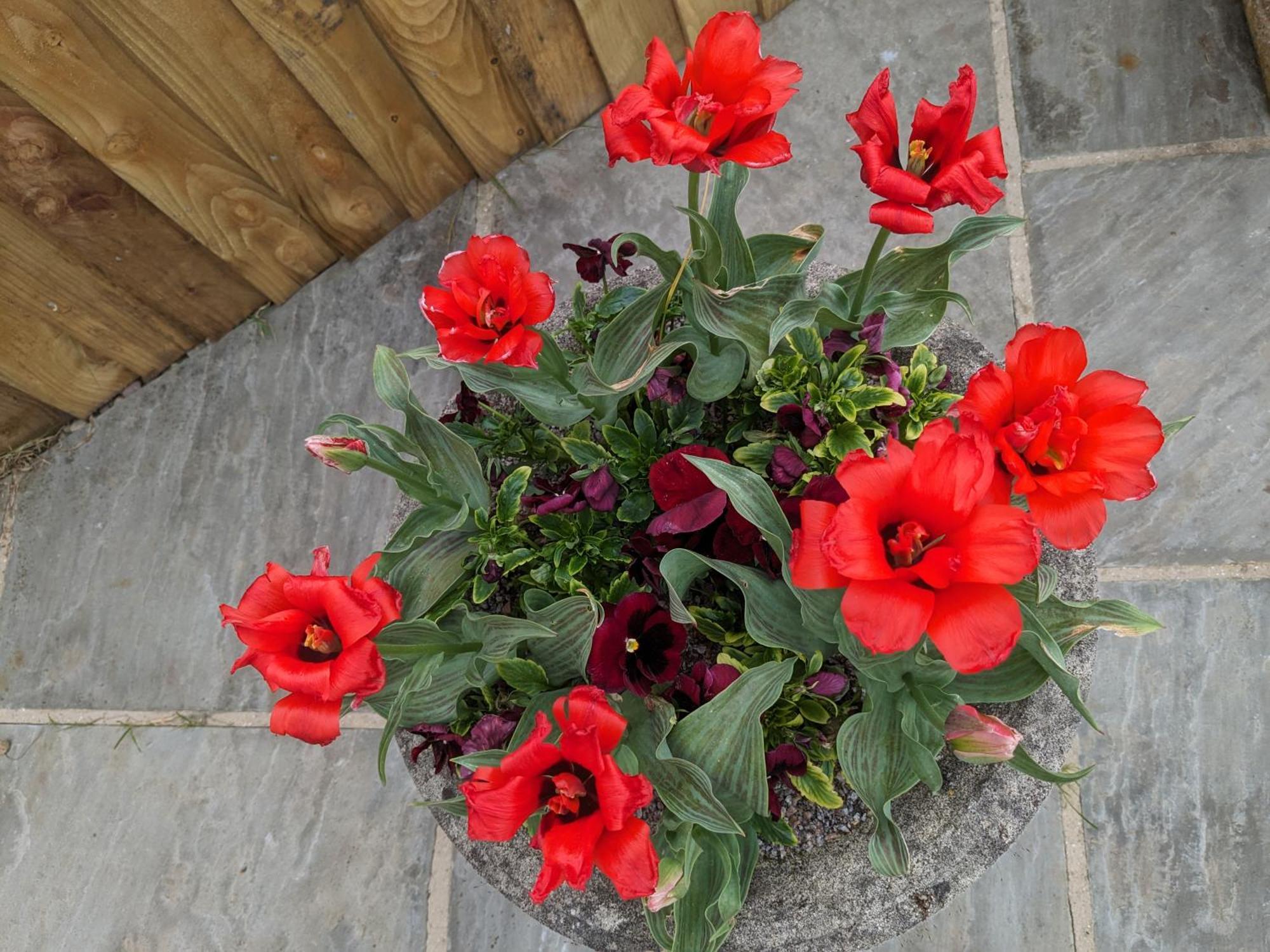 Marton near Pickering Rosegarth Bed And Breakfast المظهر الخارجي الصورة