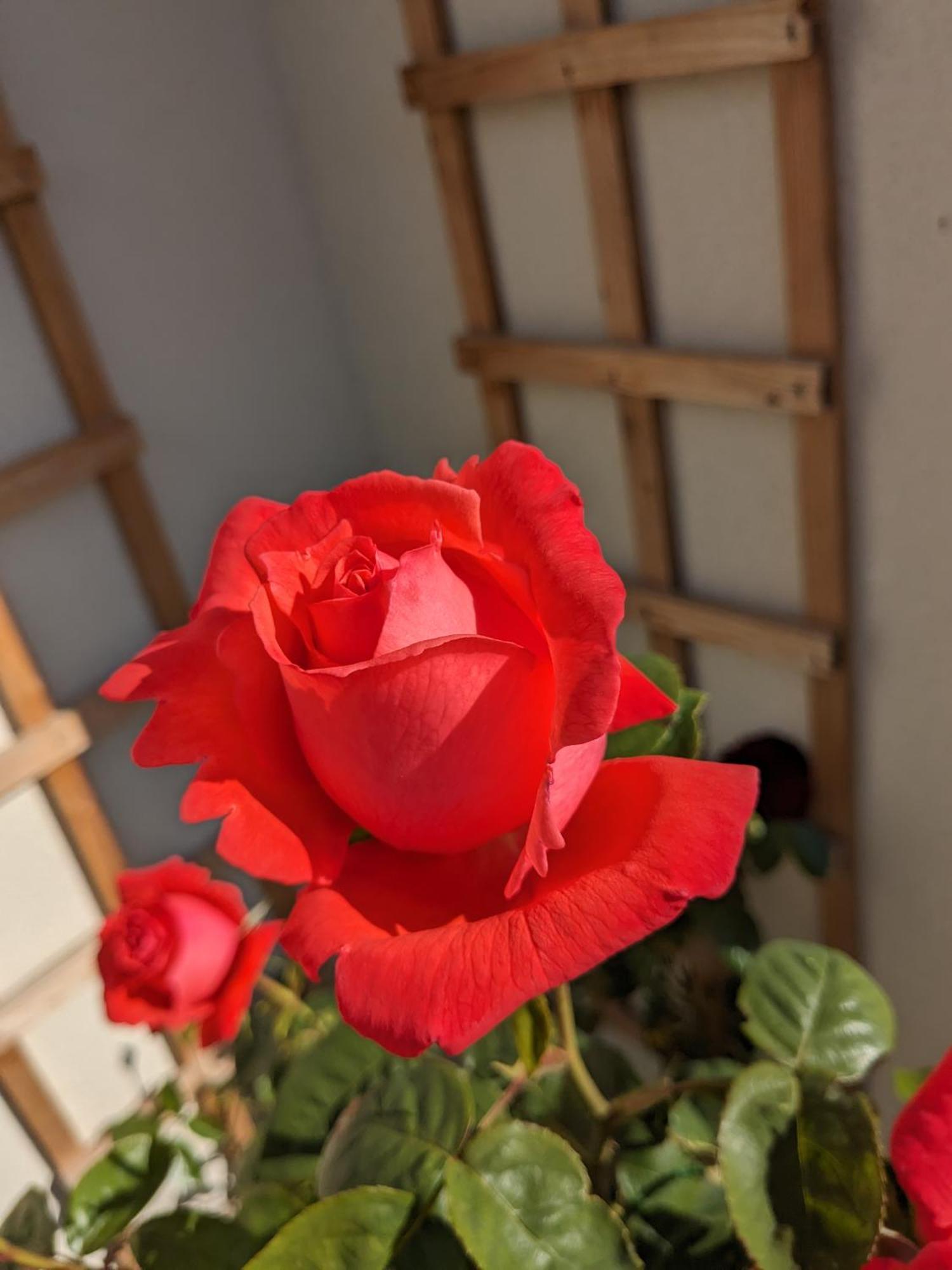 Marton near Pickering Rosegarth Bed And Breakfast المظهر الخارجي الصورة
